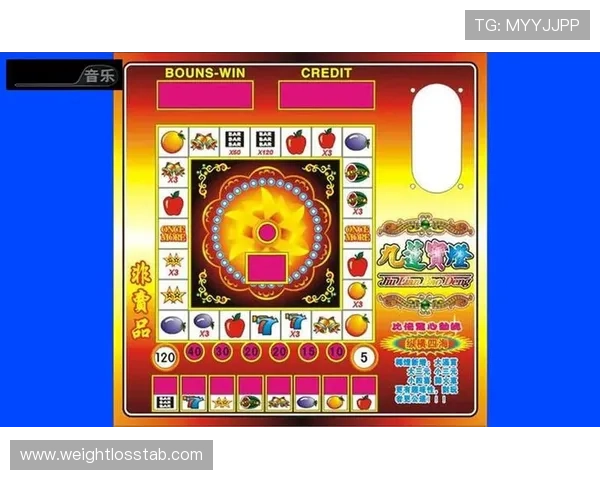 高品质老虎机单机游戏下载推荐，畅玩多样主题丰富玩法的游戏体验