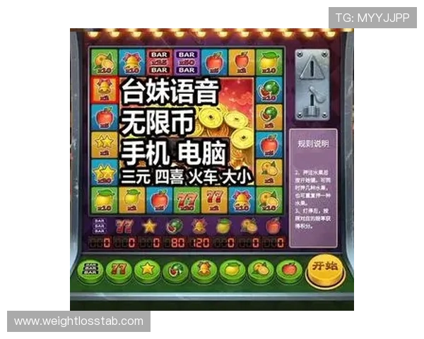 利用老虎机网站app提升游戏体验，掌握赢钱技巧实现稳定盈利的方法